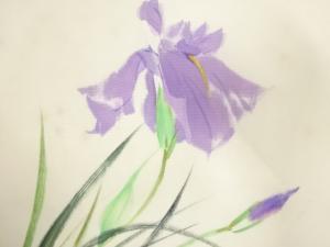 アンティーク　作家物　塩瀬手描き　菖蒲模様名古屋帯